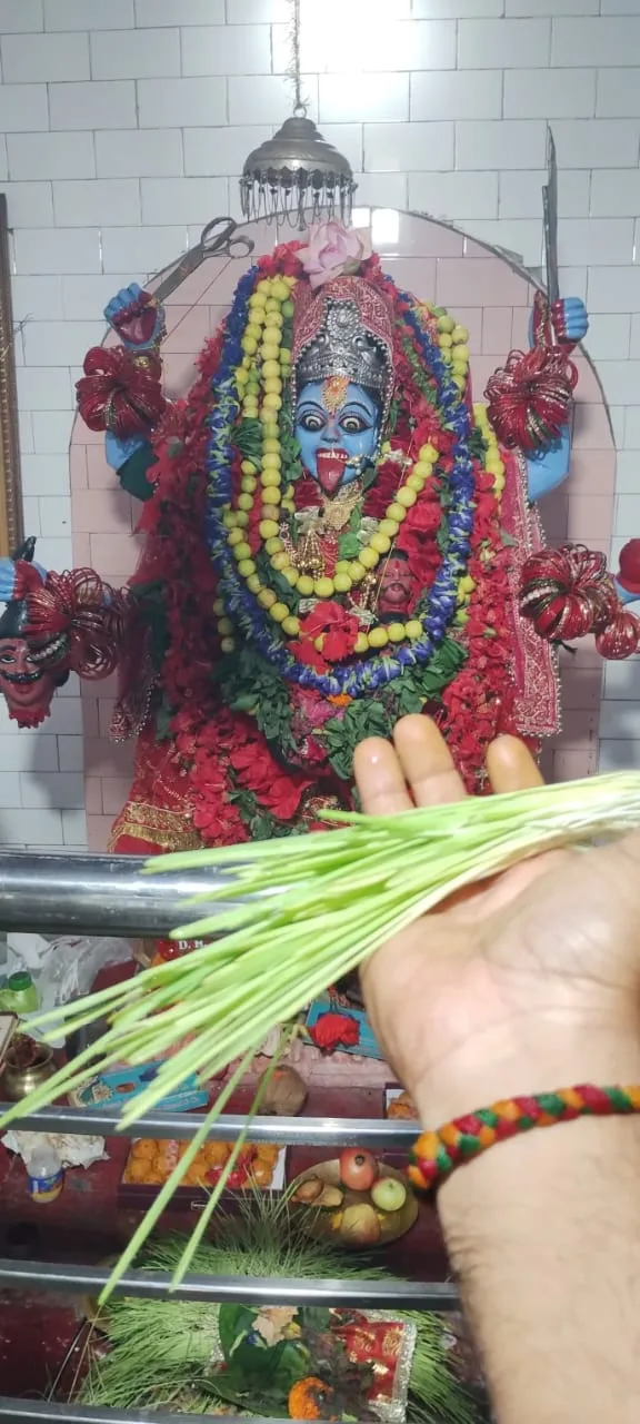 GLIMPSES OF VIJAYADASMI